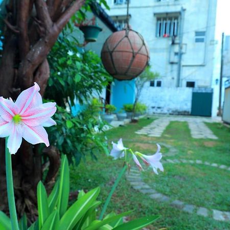 Hotel The Duchess Old Matara Exteriér fotografie